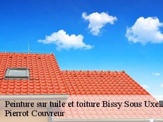 Peinture sur tuile et toiture 71460