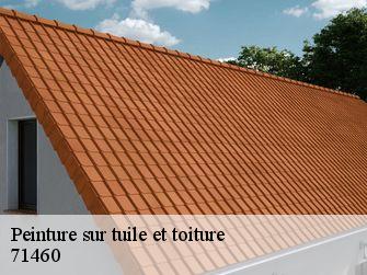 Peinture sur tuile et toiture 71460
