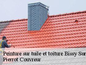 Peinture sur tuile et toiture  bissy-sur-fley-71460 Pierrot Couvreur
