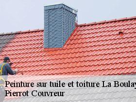 Peinture sur tuile et toiture  la-boulaye-71320 Pierrot Couvreur