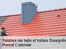 Peinture sur tuile et toiture  bourgvilain-71630 Pierrot Couvreur