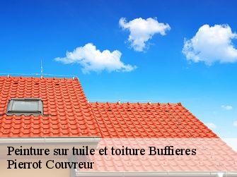 Peinture sur tuile et toiture 71250