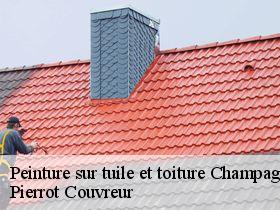 Peinture sur tuile et toiture  champagnat-71480 Pierrot Couvreur