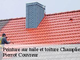 Peinture sur tuile et toiture  champlieu-71240 Pierrot Couvreur