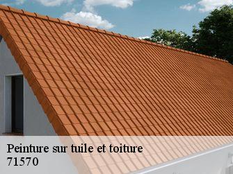 Peinture sur tuile et toiture  71570