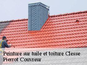 Peinture sur tuile et toiture clesse-71260 Pierrot Couvreur