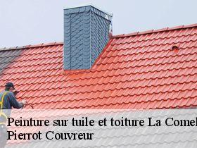 Peinture sur tuile et toiture la-comelle-71990 Pierrot Couvreur