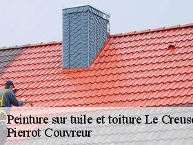 Peinture sur tuile et toiture le-creusot-71200 Pierrot Couvreur