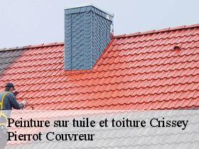 Peinture sur tuile et toiture crissey-71530 Pierrot Couvreur