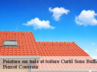 Peinture sur tuile et toiture 71520