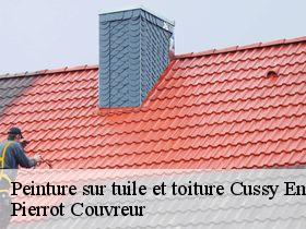 Peinture sur tuile et toiture  cussy-en-morvan-71550 Pierrot Couvreur