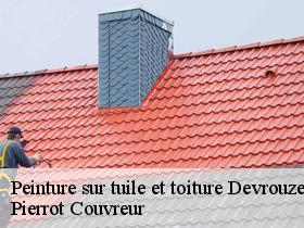 Peinture sur tuile et toiture  devrouze-71330 Pierrot Couvreur