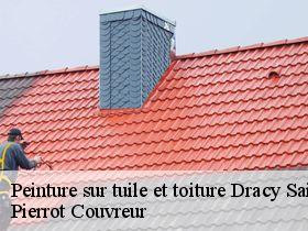 Peinture sur tuile et toiture  dracy-saint-loup-71400 Pierrot Couvreur