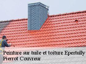 Peinture sur tuile et toiture  epertully-71360 Pierrot Couvreur