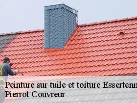 Peinture sur tuile et toiture  essertenne-71510 Pierrot Couvreur