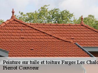 Peinture sur tuile et toiture