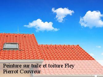 Peinture sur tuile et toiture  71390