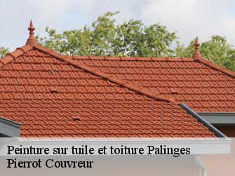 Peinture sur tuile et toiture