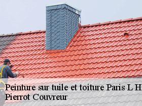 Peinture sur tuile et toiture  paris-l-hopital-71150 Pierrot Couvreur