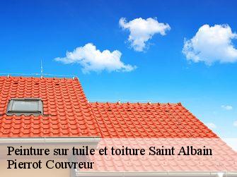 Peinture sur tuile et toiture 71260