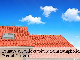 Peinture sur tuile et toiture 71710
