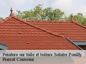 Peinture sur tuile et toiture