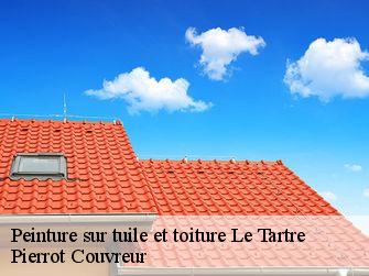 Peinture sur tuile et toiture  71330