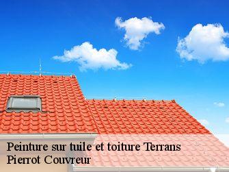 Peinture sur tuile et toiture 71270