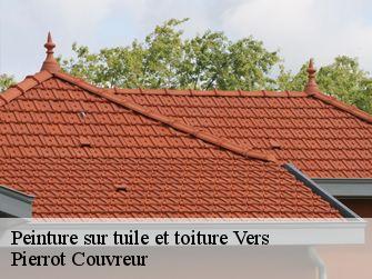 Peinture sur tuile et toiture