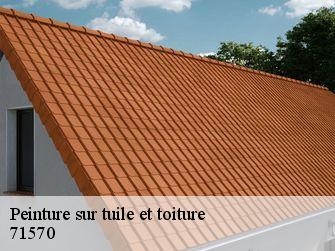 Peinture sur tuile et toiture 71570